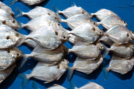 Bete bete fresh fish at the market