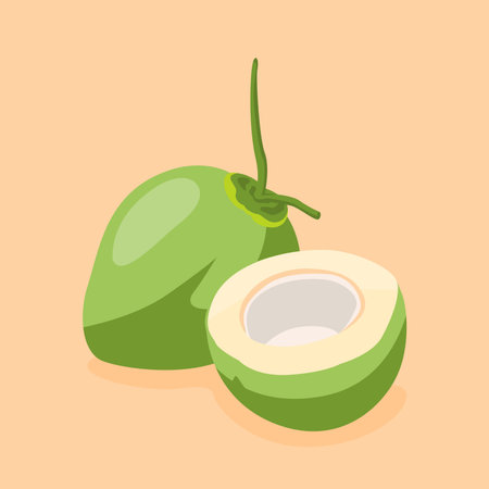 vector coconut illustration fresh fruit hand drawn flat designのイラスト素材
