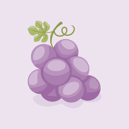 vector grape illustration fresh fruit hand drawn flat designのイラスト素材