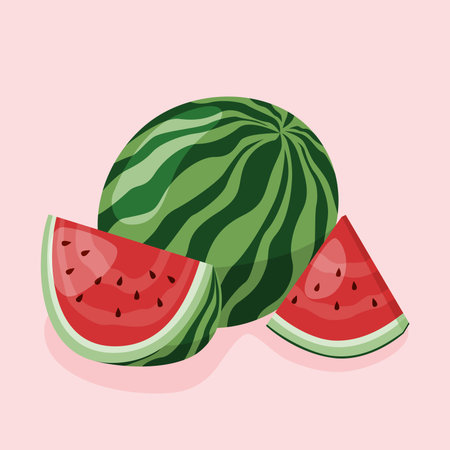 vector fresh watermelon illustration hand drawn flat designのイラスト素材