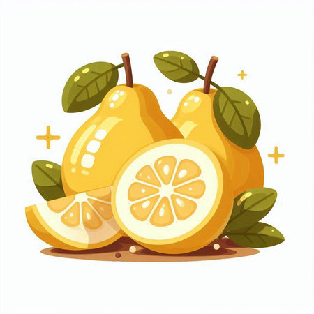 Illustration of ripe juicy yellow pears on a white background.のイラスト素材