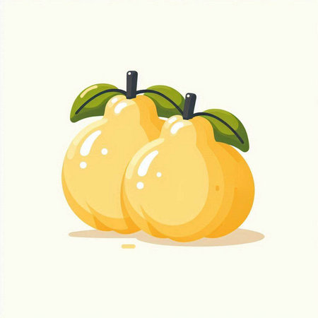 Ripe pears isolated on a white background. Vector illustration.のイラスト素材