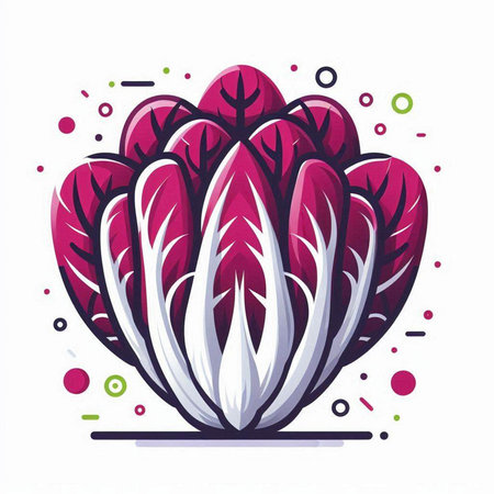 Vector illustration of chinese cabbage, chinese cabbage, chinese cabbageのイラスト素材