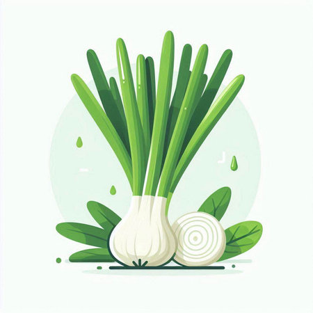 Fresh spring onion with green leaves. Vector illustration in flat style.のイラスト素材