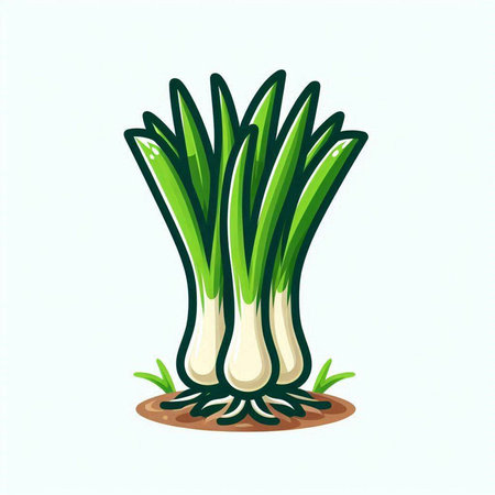 Vector illustration of green onion isolated on white background. Vegetable icon.のイラスト素材