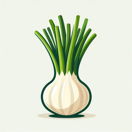 Vector illustration of a fresh spring onion isolated on a white background.のイラスト素材