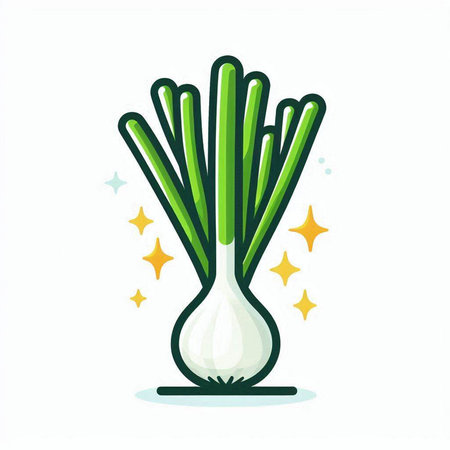 Illustration of green onion on a white background. Vector illustration.のイラスト素材