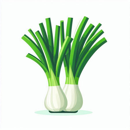 Fresh spring onion isolated on white background. Vegetable vector illustration.のイラスト素材