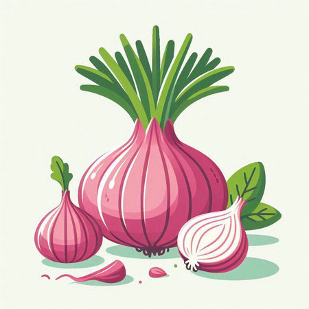 Illustration of fresh red onion with green leaves on white background.のイラスト素材