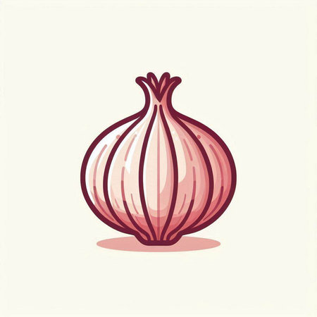 Illustration of red onion on a white background. Vector illustration.のイラスト素材