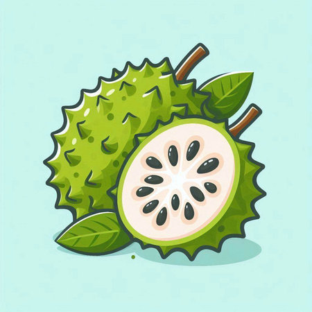 Soursop fruit vector illustration. Exotic tropical fruit. Exotic fruit.のイラスト素材