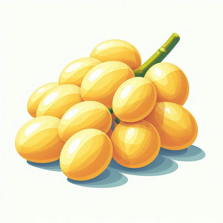 Illustration of a bunch of ripe grapes on a white background.のイラスト素材
