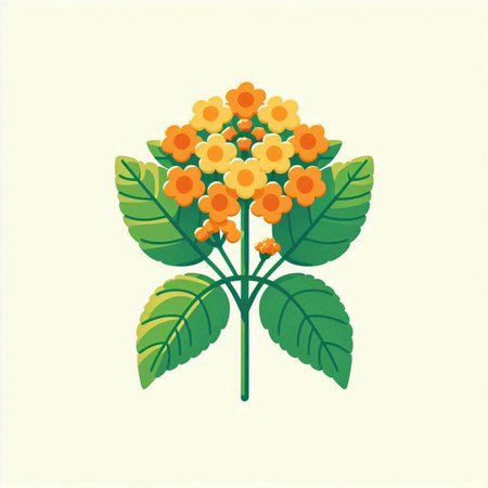 Lantana camara flowers on white background. Vector illustration.のイラスト素材