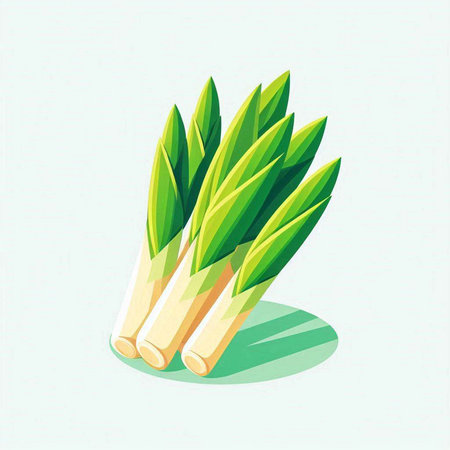fresh lemongrass on the white background. Vector illustration.のイラスト素材
