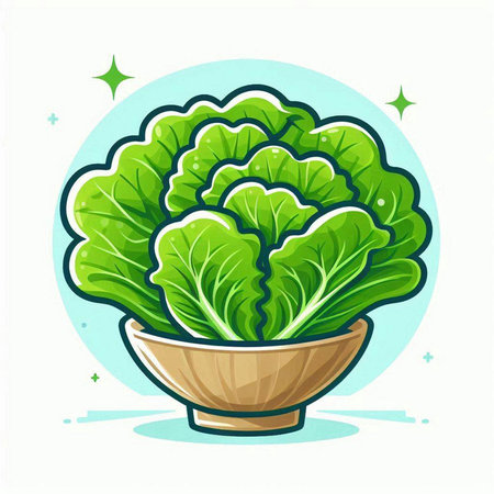 Cabbage in a bowl on a white background. Vector illustration.のイラスト素材