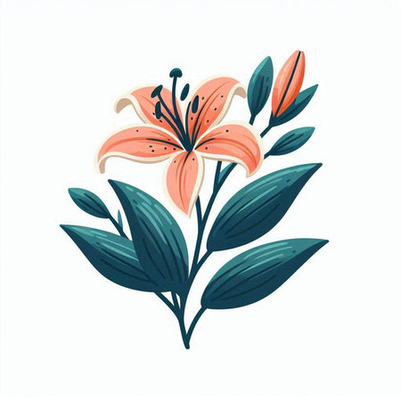 Lily flower. Hand drawn vector illustration isolated on white background.のイラスト素材