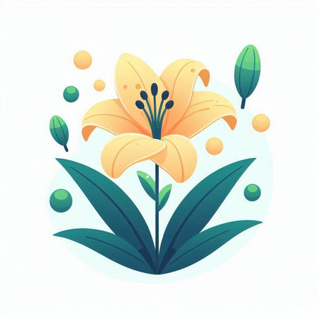 Lily flower and leaves on a white background. Vector illustration.のイラスト素材