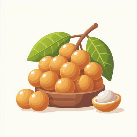 Longan fruit in wooden bowl on white background. Vector illustration.のイラスト素材