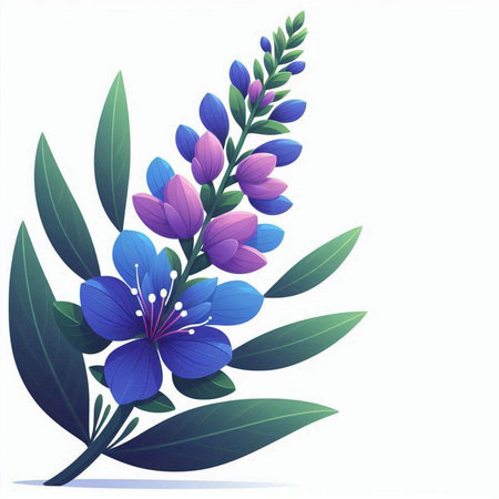 Blue lupine flowers on a white background. Vector illustration.のイラスト素材