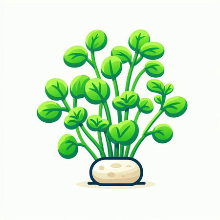 Illustration of a plant in a pot on a white background.のイラスト素材