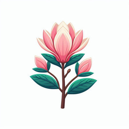 Magnolia flower. Vector illustration. Isolated on white background.のイラスト素材
