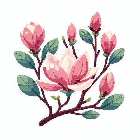 Magnolia flowers isolated on white background. Hand drawn vector illustration.のイラスト素材
