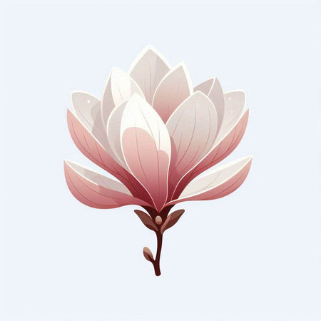 Magnolia flower on a white background, vector illustration, eps 10のイラスト素材