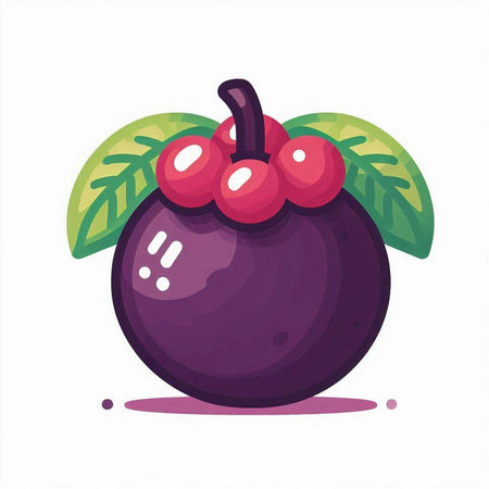 Mangosteen fruit vector illustration. Isolated mangosteen on white background.のイラスト素材