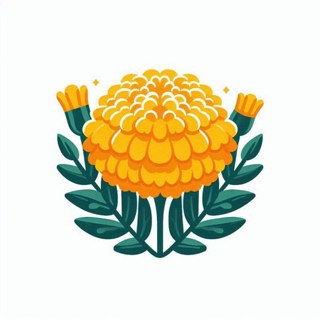 Marigold flower and leaves. Vector illustration isolated on white background.のイラスト素材
