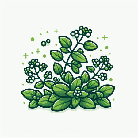 Illustration of a bunch of green oregano leaves on a white backgroundのイラスト素材
