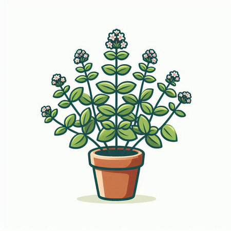 Flowerpot with plant on a white background. Vector illustration.のイラスト素材