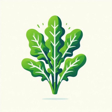 Vector illustration of green leafy vegetable icon. Healthy food concept.のイラスト素材