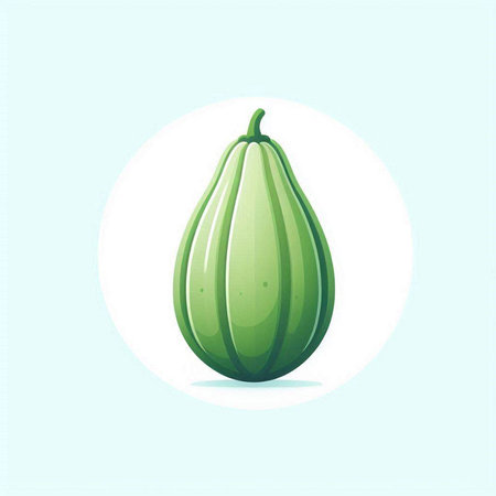 Cucumber vector illustration. Cucumis sativusのイラスト素材