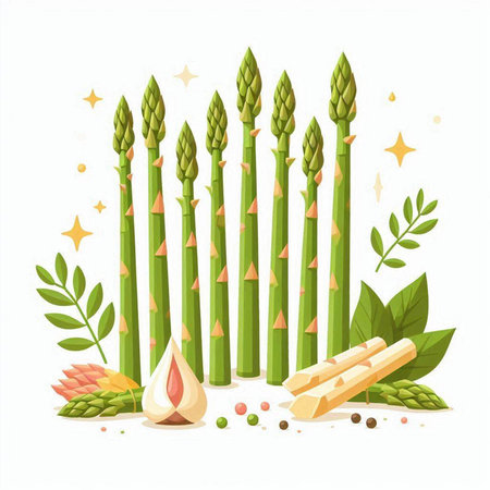 Vector illustration of fresh green asparagus with leaves and spices.のイラスト素材