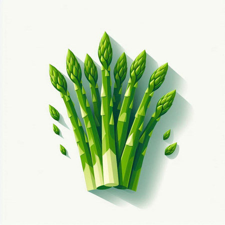Green fresh asparagus on a white background. Vector illustration.のイラスト素材