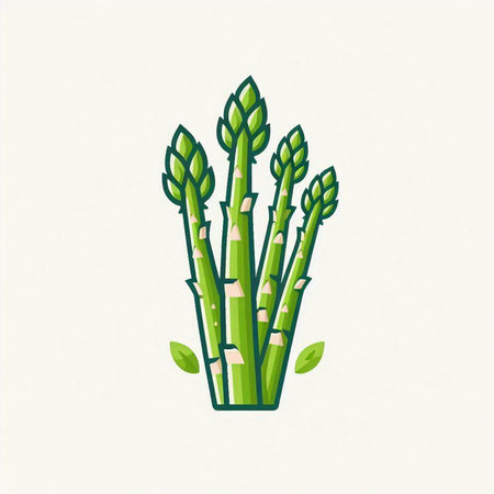 Green asparagus vector illustration. Hand drawn green asparagus isolated on white background.のイラスト素材