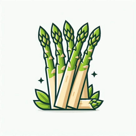 Asparagus vector icon. Isolated illustration of asparagus.のイラスト素材