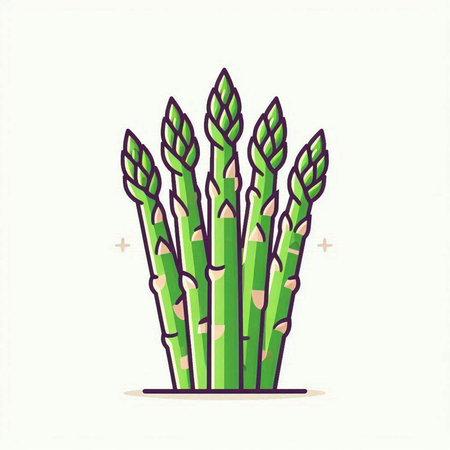 Asparagus icon isolated on white background. Vector illustration of asparagus.のイラスト素材