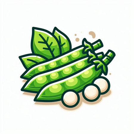 Peas with green leaves isolated on white background. Vector illustration.のイラスト素材