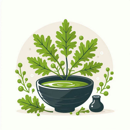 Japanese miso soup in a bowl with seaweed. Vector illustration.のイラスト素材