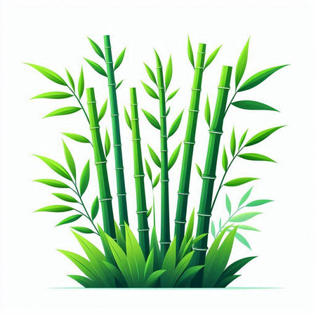 Green bamboo stems and leaves isolated on white background. Vector illustration.のイラスト素材