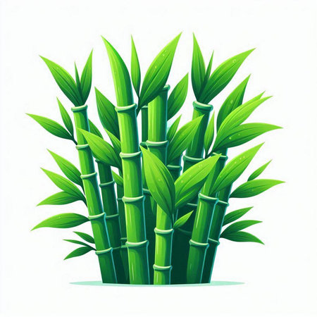 Green bamboo stems and leaves isolated on white background. Vector illustration.のイラスト素材