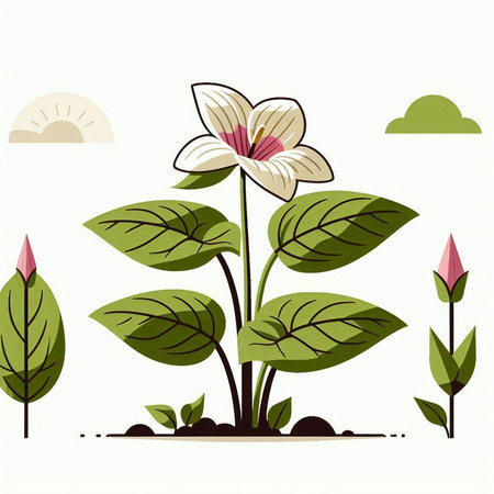 Flowering plant with leaves and flowers in the garden. Vector illustration.のイラスト素材