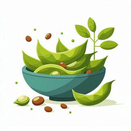 Fresh green soybeans in a bowl isolated on white background. Vector illustration.のイラスト素材