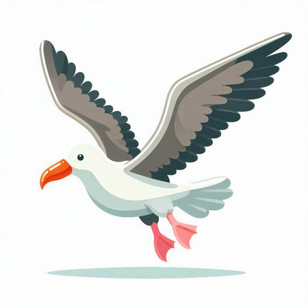 Flying seagull. Vector illustration isolated on a white background.のイラスト素材