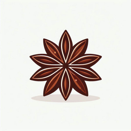 Star anise spice isolated on a white background. Vector illustration.のイラスト素材