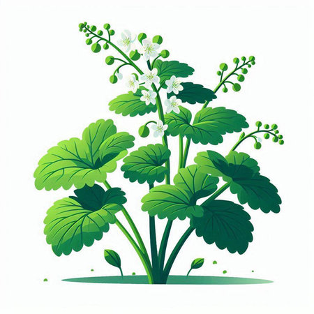 Illustration of a green plant with flowers and leaves on a white backgroundのイラスト素材