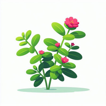 Flower with leaves isolated on white background. Vector flat illustration.のイラスト素材