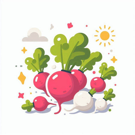 Radish vector illustration. Radish in flat style. Radish on white background.のイラスト素材