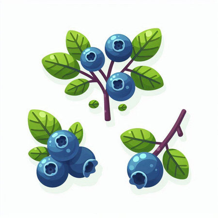 Blueberry vector illustration. Isolated on white background. Cartoon style.のイラスト素材